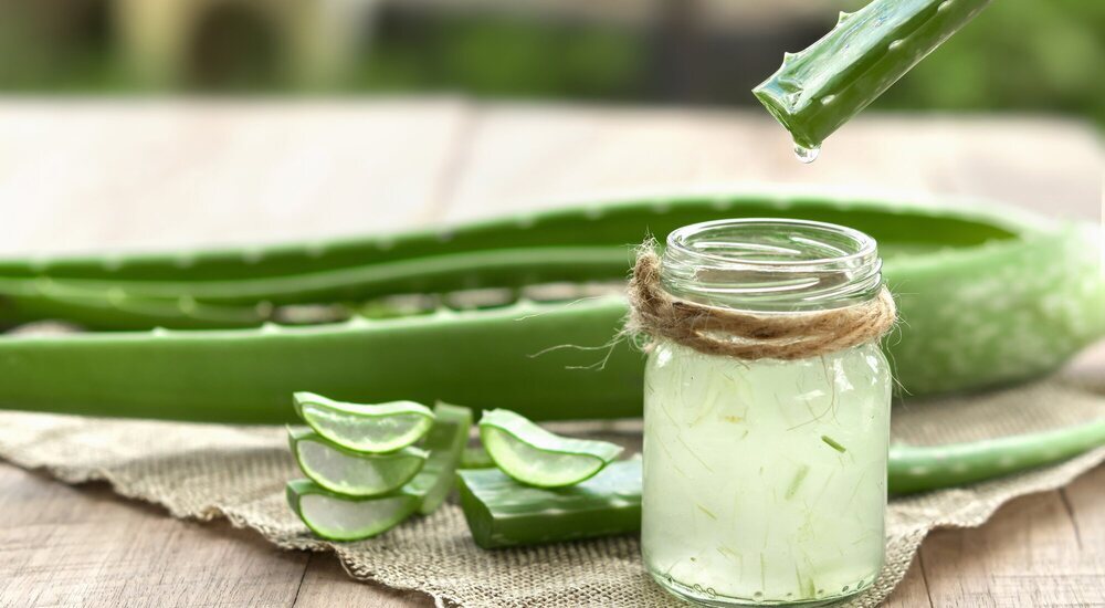 5 Beneficios Del Aloe Vera Para La Piel Y El Cuerpo Menzig 9504