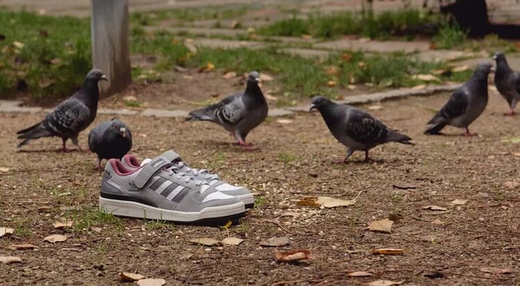 Home Alone 2 x adidas: 'la señora de las palomas' ya tiene sus zapatillas