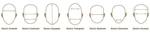 Diferentes tipos de rostros según las medidas que obtenidas
